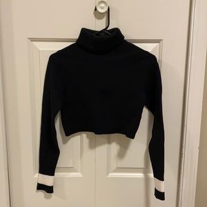 Zara Cropped Knit Turtleneck Sweater